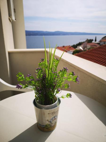 Anic Apartments Stanići, Buchen Sie Ferienwohnung Hotels in Gespanschaft Split-Dalmatien mit Parkplatz, Parkplätze