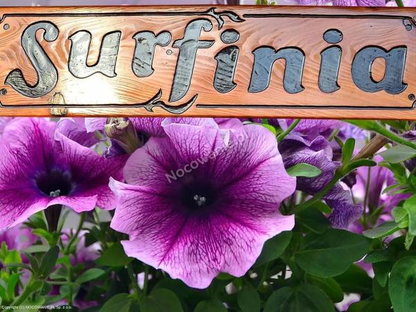 POKOJE GOŚCINNE SURFINIA, Buchen Sie  Hotels in Danzig mit Parkplatz, Parkplätze