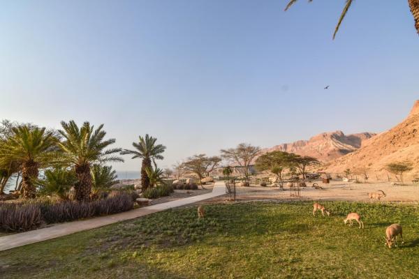 SPNI Ein Gedi Field School, Reserva ahora  Ein Gedi Mar Muerto Israel