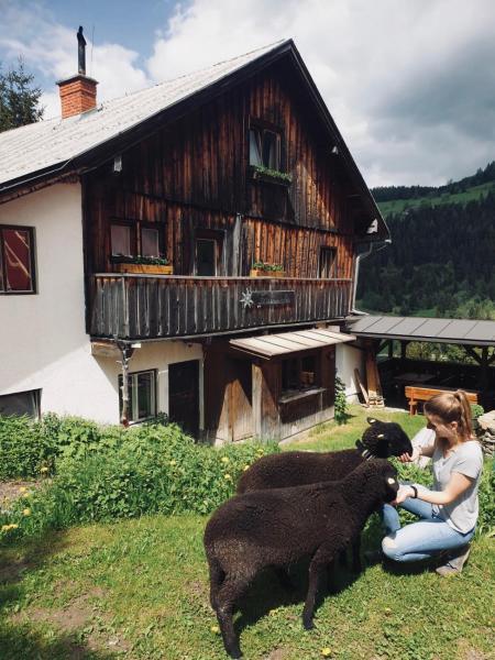 Zauneralm, Prenota  Hotel a Stiria con parcheggio, Parcheggio