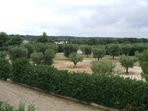 Locazione turistica Green Park, Buchen Sie  Hotels in Itria-Tal mit Parkplatz, Parkplätze