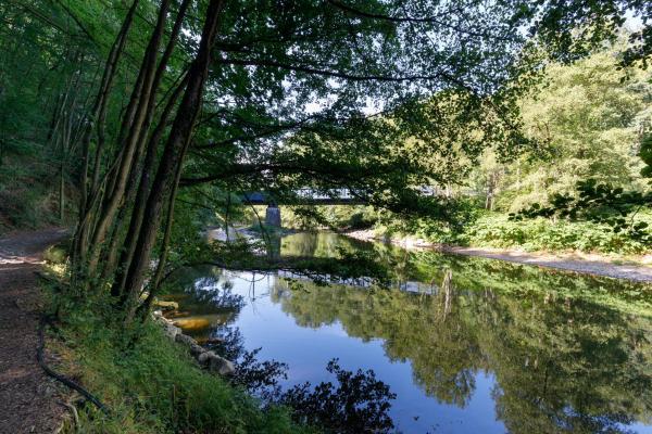 Camping Village Sy, Prenota  Ferrières Pays d'Ourthe-Amblève