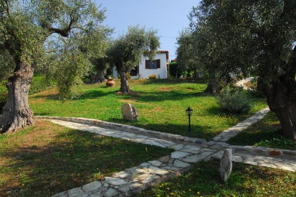 Saint Andrews Bay, Reserva ahora Hotel South Pelion Tesalia