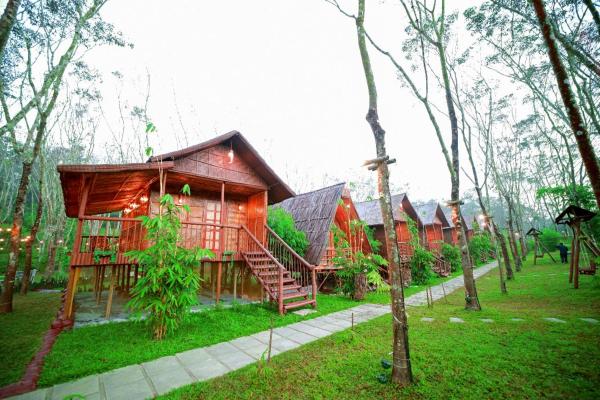 Bali Bamboo Resort, Prenota  Hotel a Kerala con piscina, Piscina