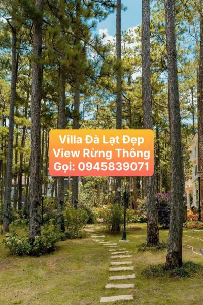 Villa Ho Tuyen Lam Đa Lat View Rung Thong Đa Lat, Buchen Sie Villa Ấp Xuân An Lam Dong