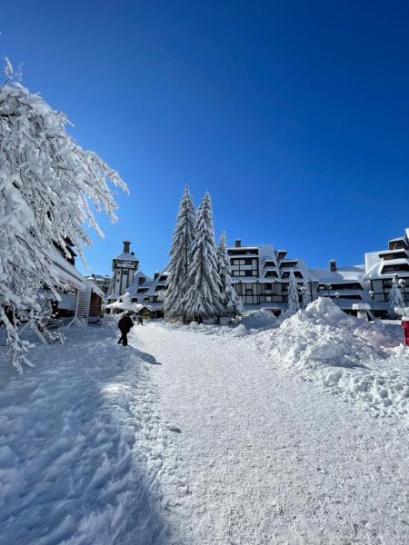 Apartments Konaci BOOKING, Buchen Sie Ferienwohnung Hotels in Zentralserbien mit Parkplatz, Parkplätze