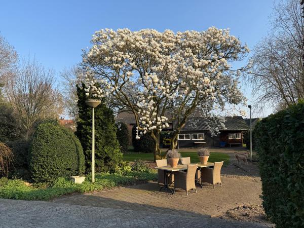 Villa France, Prenota  Hotel a Limburgo con parcheggio, Parcheggio