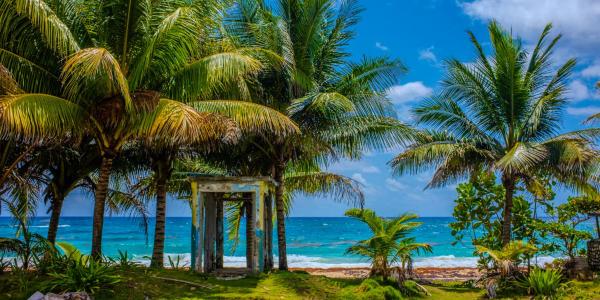 Beachfront 5BR w Gen Long Bay,Portland Sleeps 10, Buchen Sie  Long Bay Portland