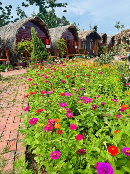 Coto Queen, Buchen Sie  Nam Cap Quang Ninh