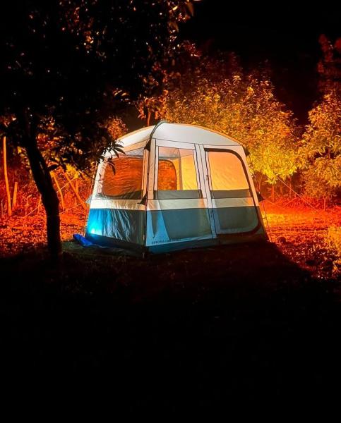 Wildtentadventure, Réserver  Hôtels à Tada avec piscine, Piscine