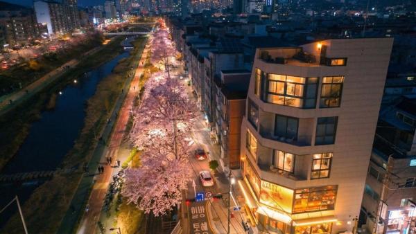 홍대#DMC역#커플,가족,단체여행#프라이빗 감성숙소#Villa De Ellie, Reserva ahora  Seúl República de Corea