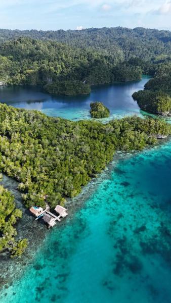 Sunrice Raja Ampat, Buchen Sie  Besir 