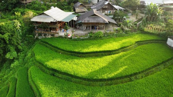 Merly House, Prenota  Hotel a Lao Cai con piscina, Piscina