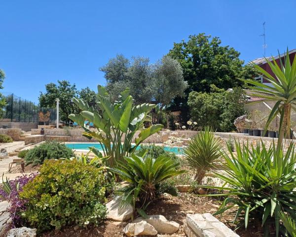 nonnacampagna, Buchen Sie  Hotels mit Pool in Metropolitanstadt Bari, Schwimmbad
