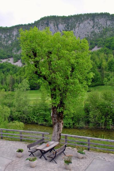 Riverside Village Apartment, Buchen Sie Ferienwohnung Bohinj 
