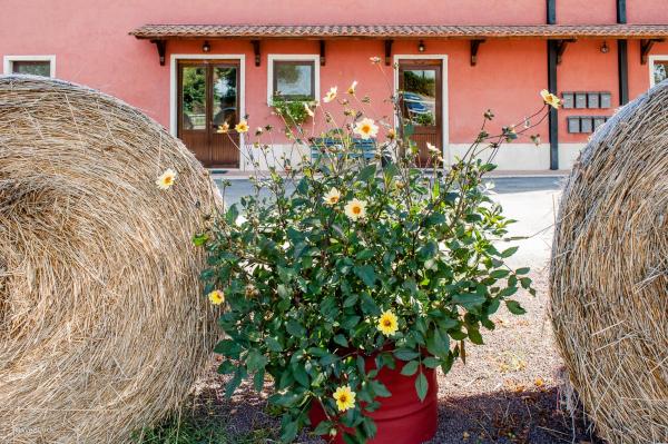 Agriturismo La Meridiana, Book  Hotels in Rome with Parking, Parking