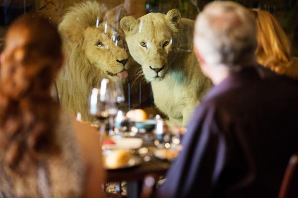 Jamala Wildlife Lodge, Reserva ahora Lodge Weston Creek Nueva Gales del Sur