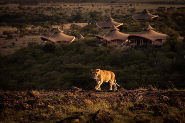 Mahali Mzuri, Buchen Sie Zelt-Lodge Aitong Masai Mara