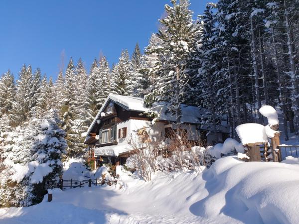 Alm-Ferienhaus Gaisegg am Klippitztörl, Prenota Appartamento Bad Sankt Leonhard im Lavanttal Klippitztorl