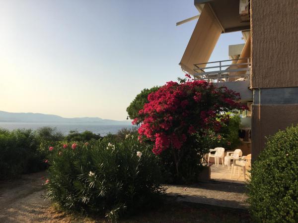 Galini Studios and Apartments, Book Apartment Lassi Kefalonia